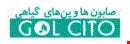 گل سیتو