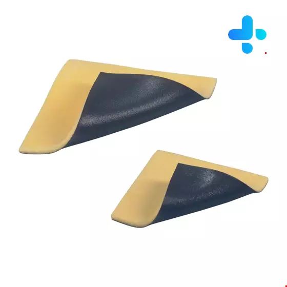 B Braun Askina Calgitrol Ag 10*10 cm Foam