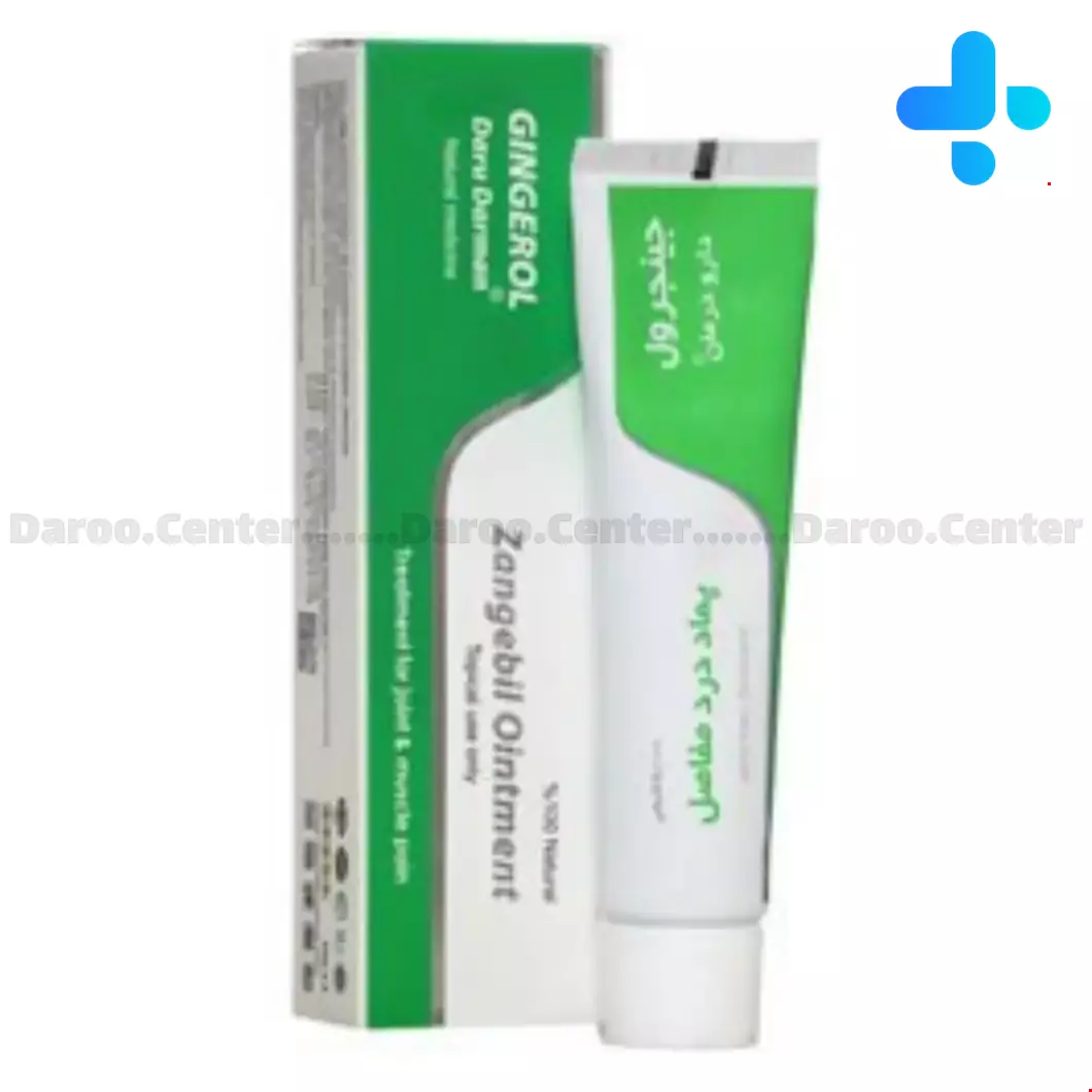 Daru Darman Gingerol Joint Pain 30g Ointment