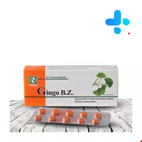 Gingo B Z Dineh 30 Tablet