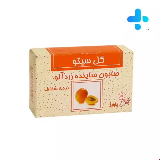 Gol Cito Apricot Scrub Soap