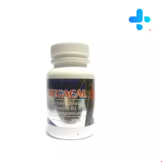 Shahre Daru Megacal 60 Capsule