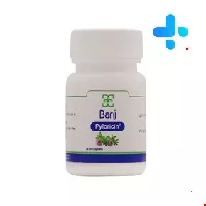 کپسول نرم پیلوریسین باریج اسانس 28 عددی
