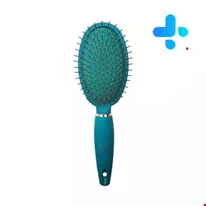 Christian Beauty Hairbrush