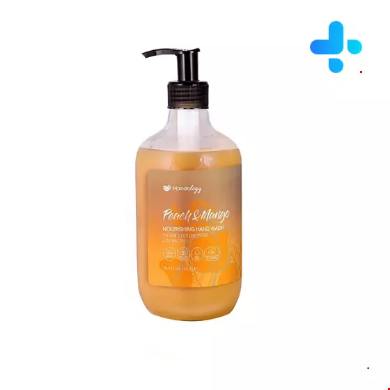 Handology Creamy Peach And Mango HandWash liquid 500 ml