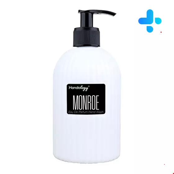 Handology Monro Perfum Hand Wash 480ml