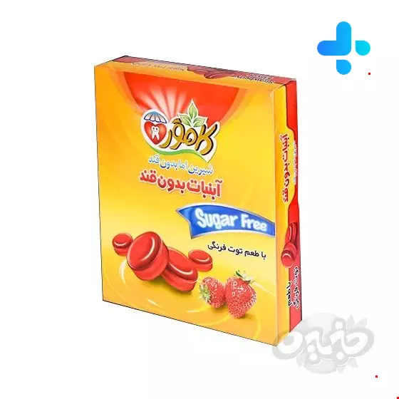 Kamvar Sweet but Sugar free 110gr