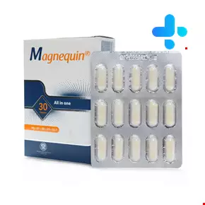 Pars Darou Magnequin Magnesium 30 Capsule
