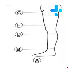 Teb & Sanat Compression Stockings BF model  Code 71000