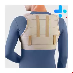 Teb & Sanat Posture Aid Brace With Shoulder Pads Code 52200